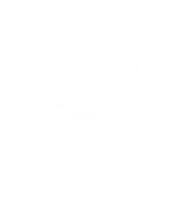 Flying Horse